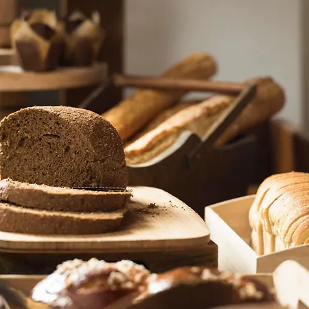 Novotel Gerland Musee Des Confluences Hotel